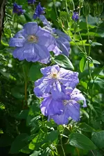 DSC_4680.webp