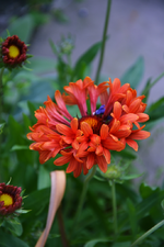 DSC_4704.webp