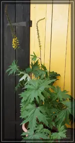 comp_DSC09519.webp