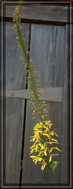 comp_DSC09520.webp