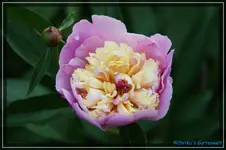 comp_DSC03771.webp
