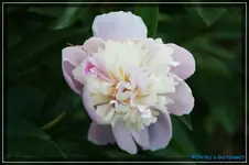 comp_DSC03773.webp
