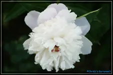 comp_DSC03774.webp