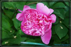 comp_DSC03775.webp