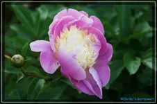 comp_DSC03776.webp