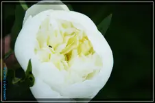 comp_DSC03777.webp