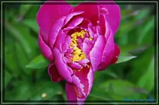 comp_DSC03778.webp