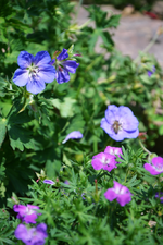 DSC_4725.webp