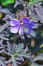 DSC_4726.webp