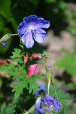 DSC_4727.webp