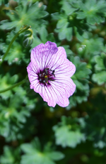 DSC_4728.webp
