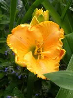 DSCN9112.webp