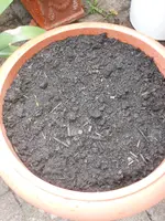 DSCN2597.webp