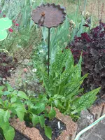 DSCN2596.webp