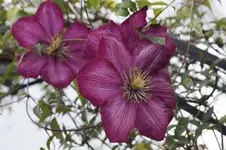 _DSC8433.webp