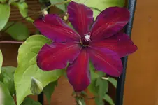 _DSC8431.webp