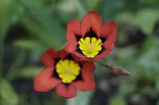 _DSC8435.webp
