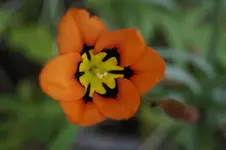 _DSC8437.webp