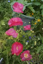 _DSC8439.webp