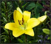 comp_DSC09526.webp