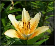 comp_DSC09528.webp