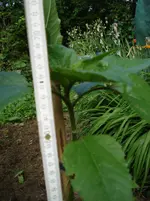 DSC04359.webp