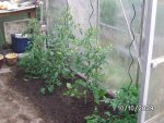BILD4979.jpg
