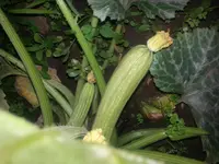 20150614_190353[1].webp