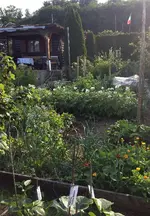 Gartenabend1.jpg