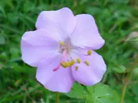 DSCI3463.webp