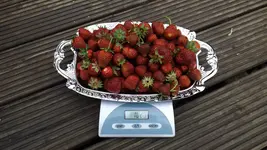 DSCF2469.webp