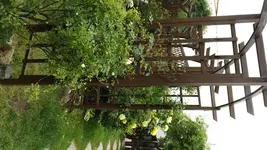 DSCF2487.webp