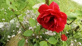 DSCF2489.webp