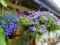 DSCF9282.webp