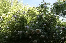 IMG_6526.webp