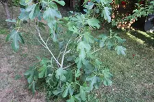 IMG_6458.webp