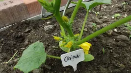 DSCF2448.webp