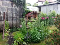 2015-06-13  Genug Insektenfutter.webp
