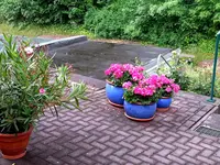 2015-06-13 Oberhalb der Himmelsleiter.webp