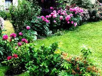 2015-06-13 Wachwechsel im Obergarten.webp