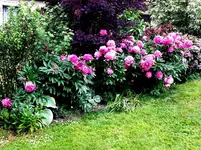 2015-06-13 Westflanke geschlossen.webp