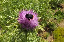 DSCF1462.webp