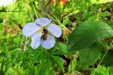DSCF1492 (2).webp