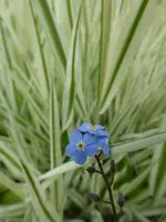 P1390680.webp
