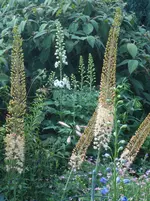 DSCN2578.webp