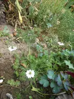 DSCN2574.jpg