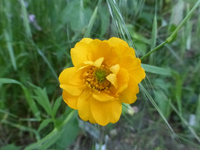 P1390519.webp