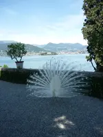 P1020415.webp