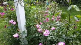 20150615_135156.webp