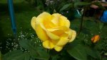 20150615_135325.jpg